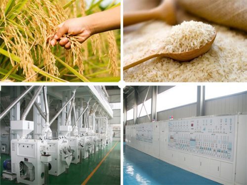 Call For Applications: RMBA Business of Rice Milling Capacity building course