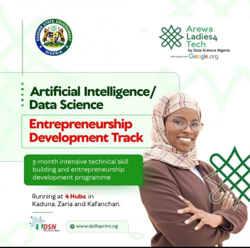Call for Applications: DSN Arewa Ladies4Tech program