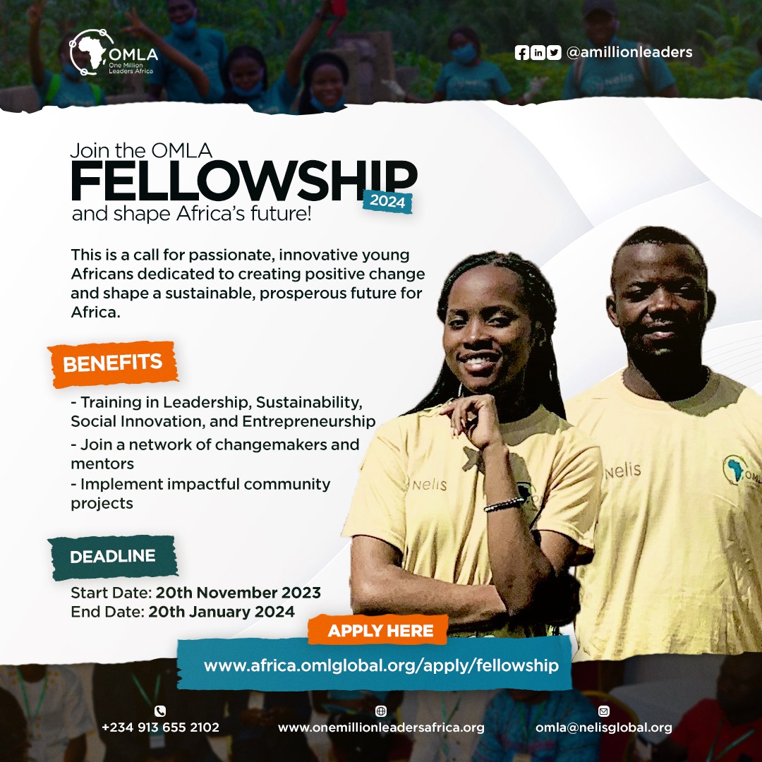 Call For Applications: OMLA Fellowship Program For Young African Innovators( Training, Mentorship, and $500 fund)