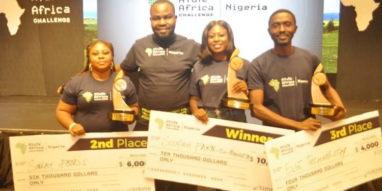 Heifer International Announces Top 3 Winners of AYuTe Nigeria Challenge