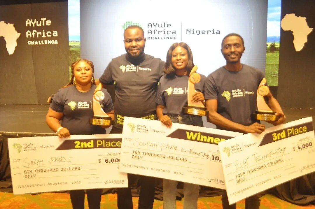 Announcing Top 3 Winners Of Heifer International 2023 AYuTe Nigeria Challenge
