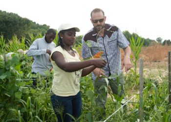 Call For Applications: Borel Global Fellows Program 2024 (Up to $25,000)