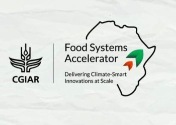 Call For Applications: CGIAR Food Systems Accelerator 2024 ($20,000 grant)