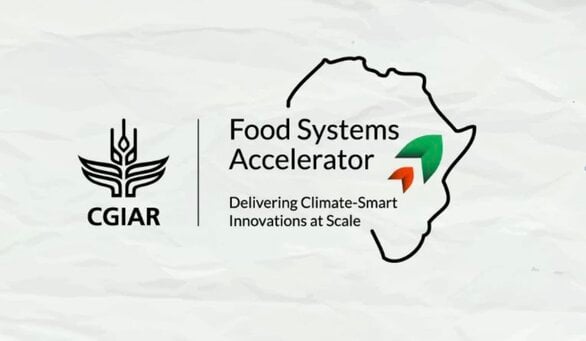 Call For Applications: CGIAR Food Systems Accelerator 2024 ($20,000 grant)