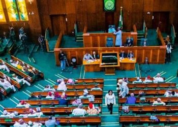 House of Rep Urges Immediate Implementation of N550 Billion Presidential Palliative for MSMEs