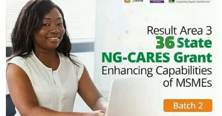 NG-CARES Batch 2 Grant Program for MSMEs: How to Apply, Links to Apply And Requirements