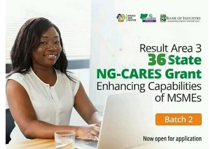 NG-CARES Batch 2 Grant Program for MSMEs: How to Apply, Links to Apply And Requirements