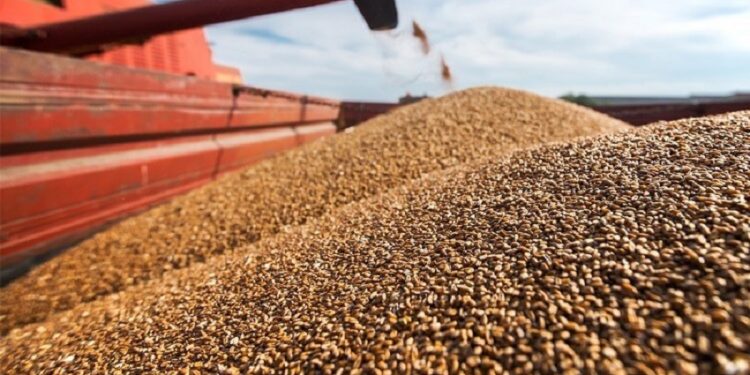 Nigeria Targets Wheat and Rice Self-Sufficiency to Reduce Import Dependency