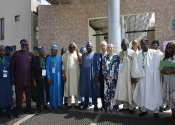 FG Aims for 31 Million Metric Tonnes of Grains Production for Farmers to Tackle Food Inflation