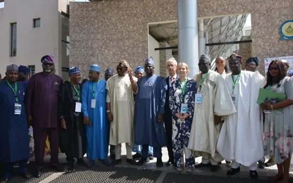 FG Aims for 31 Million Metric Tonnes of Grains Production for Farmers to Tackle Food Inflation