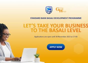 Call For Applications: Standard Bank Basali Development Program 2024