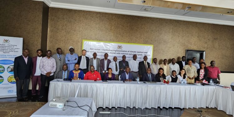 New Collaborative Efforts in Africa Aim to Bridge Climate Finance Gap