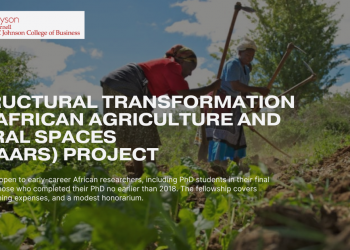 Call For Applications: Structural Transformation of African Agriculture & Rural Spaces (STAARS) Fellowship Program 2024