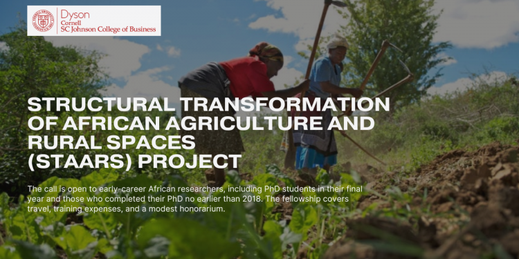 Call For Applications: Structural Transformation of African Agriculture & Rural Spaces (STAARS) Fellowship Program 2024