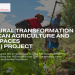 Call For Applications: Structural Transformation of African Agriculture & Rural Spaces (STAARS) Fellowship Program 2024
