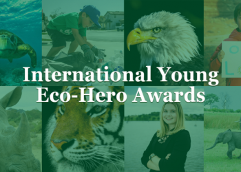 Call For Applications: Action for Nature International Young Eco-Hero Awards 2024( up to $500, Certificate of Achievement And Public Recognition)