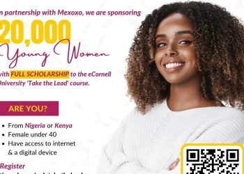 Call For Applications: Nalafem-eCornell Take The Lead Course for Young Women in Nigeria and Kenya.