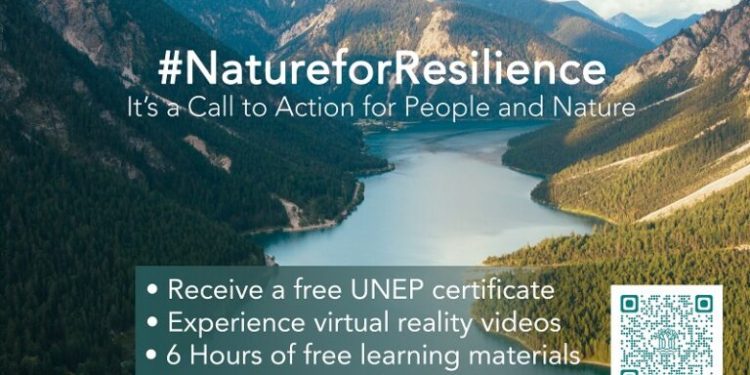 Call For Applications: UNEP Certificate Course on Nature-based Solutions for Disaster and Climate Resilience 2024