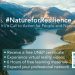 Call For Applications: UNEP Certificate Course on Nature-based Solutions for Disaster and Climate Resilience 2024