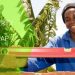 Call for Applications: The Gered Gereedschap (AFRICA) Vocational Education and Entrepreneurship Support Program