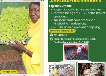 Call For Applications: IFAD Agrihub Agribusiness Hubs in Nigeria