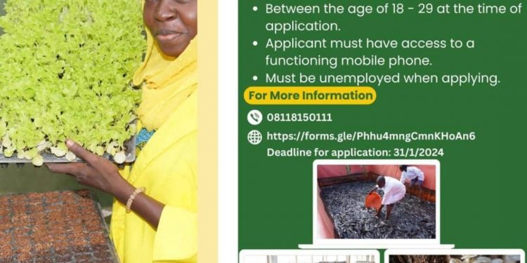 Call For Applications: IFAD Agrihub Agribusiness Hubs in Nigeria