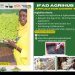 Call For Applications: IFAD Agrihub Agribusiness Hubs in Nigeria