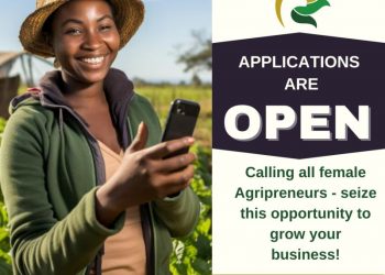 Call For Applications: AgriVuno Women in Agri Accelerator Program
