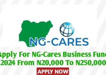 Call For Applications: NG-Cares Business Fund 2024 ( From #50,000, to #250,000 to Entrepreneur)