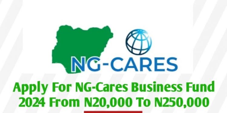 Call For Applications: NG-Cares Business Fund 2024 ( From #50,000, to #250,000 to Entrepreneur)