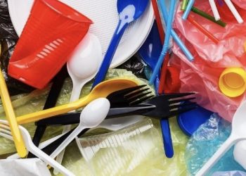 Federal Government Supports Ban on Single-Use Plastics, Hints at Banning Some Plastic Products