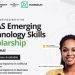 Call For Applications: IDEAS Emerging Technology Skills Scholarship Program