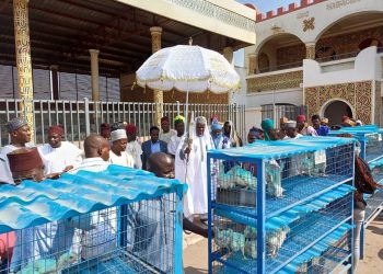 Federal Government Empowers Nasarawa Poultry Farmers through NALDA Scheme