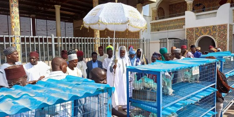 Federal Government Empowers Nasarawa Poultry Farmers through NALDA Scheme