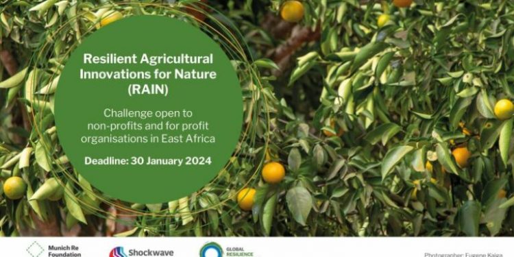 Call For Applications: Resilient Agriculture Innovations for Nature (RAIN) Challenge 2024 for AfricansCall For Applications: Resilient Agriculture Innovations for Nature (RAIN) Challenge 2024 for Africans