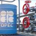 OPEC Maintains Oil Production in December 2023 as Nigeria Boosts Output by extra 50,000 bpd