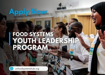 Call For Applications: UN Food Systems Youth Leadership Program 2024