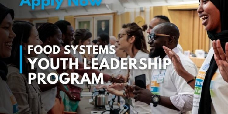 Call For Applications: UN Food Systems Youth Leadership Program 2024