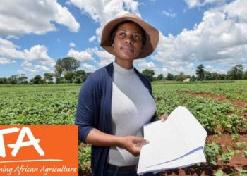 Call For Applications: IITA Youth in Agribusiness Training Program