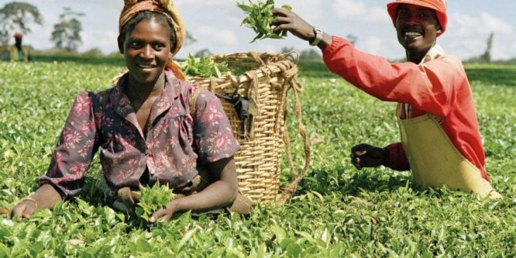 NDE Empowers 55 Entrepreneurs in Akwa Ibom for Agricultural Advancement