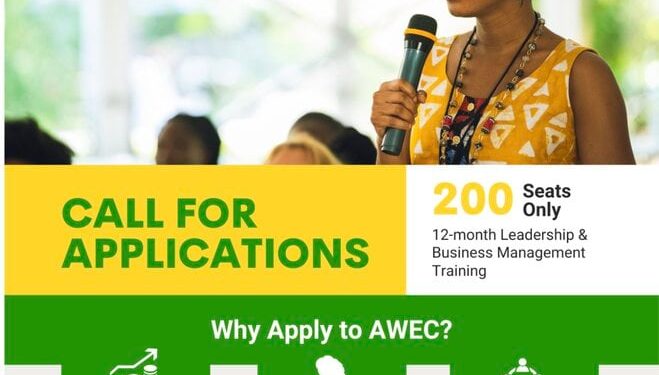 Call for Applications: African Women Entrepreneurship Cooperative (AWEC) Program 2024 for African Female Business Owners (Cohort 7)