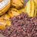 Lagos State Plans to Establish Three Cocoa Processing Hubs to Drive Value Addition