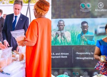 United States and African Development Bank forge stronger ties to boost food production