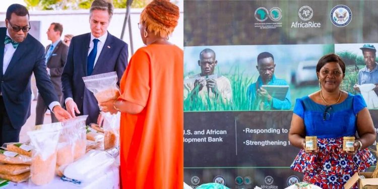 United States and African Development Bank forge stronger ties to boost food production