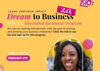 Call For Applications: Shecluded Dream to Business Incubator Program 2.0 { up to N 2,000,000 funding}