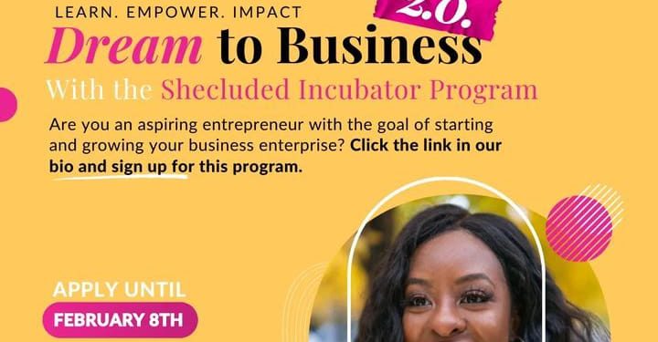 Call For Applications: Shecluded Dream to Business Incubator Program 2.0 { up to N 2,000,000 funding}