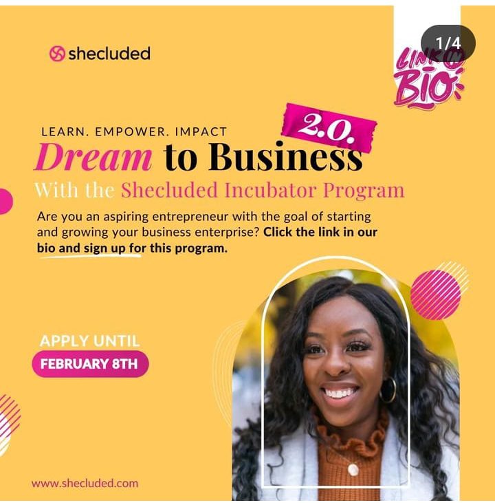 Call For Applications: Shecluded Dream to Business Incubator Program 2.0 { up to N 2,000,000 funding}
