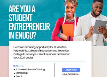 Call For Applications: Students Entrepreneurship Program (SEP) (Training, Mentorship, and Access to grants)