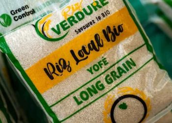 The African Development Bank plans to invest USD 10.5 million in the capital of Seedstars Africa Ventures to boost investment in innovative businesses