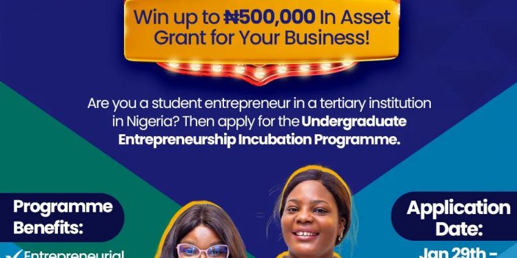 Call For Applications: Undergraduate Entrepreneurship Incubation Program (UEIP 2024) ( N500,000 Grant, Entrepreneurship Training and Mentoring)
